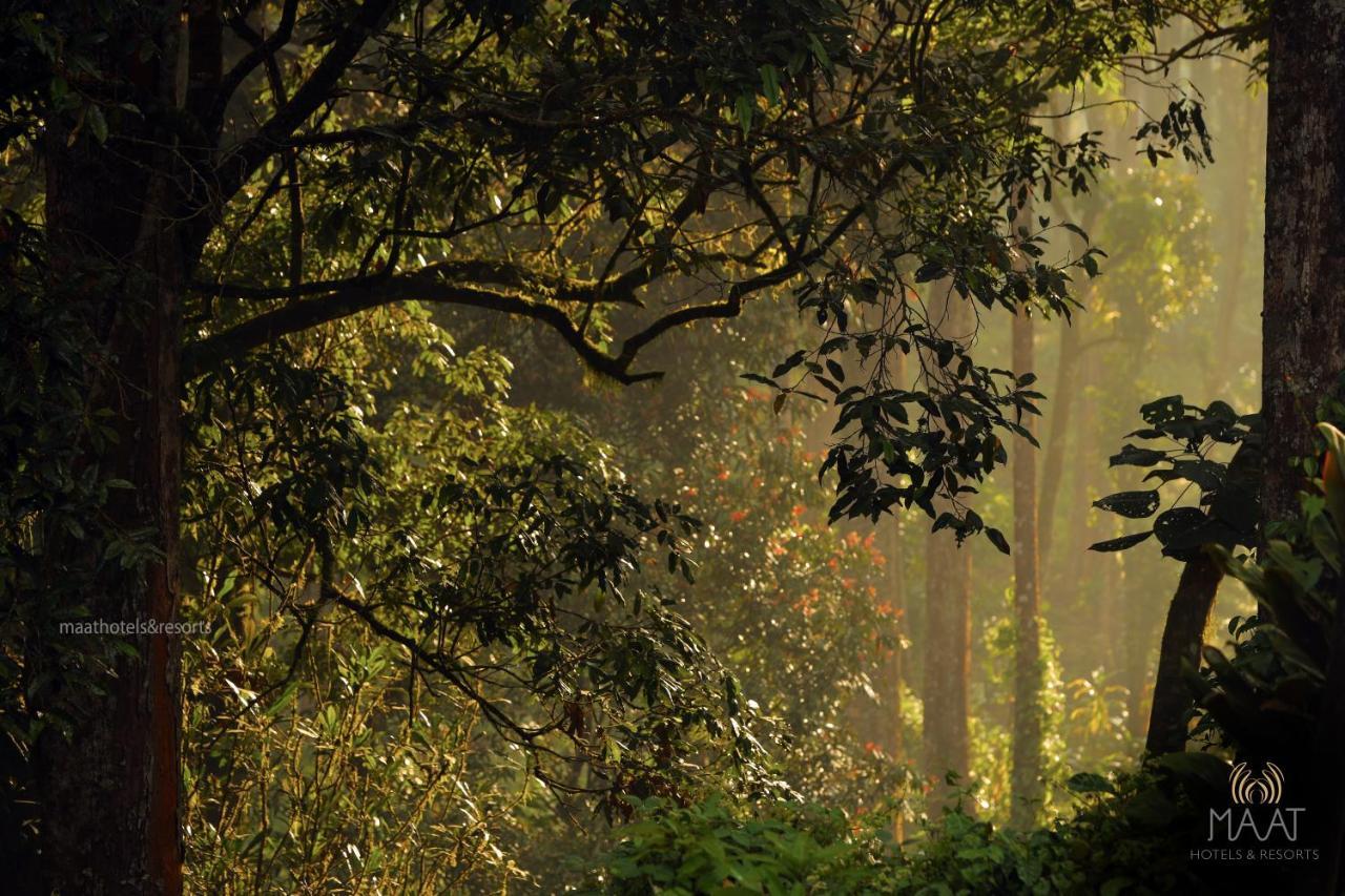 Dew Drops Farm Resorts Munnar Exterior foto